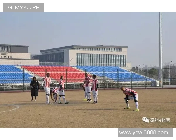 南京足球队耐力分析与训练策略探讨助力球队提升竞技水平