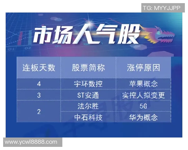 南京飞盘队在团队协作排名中创下新高展现出色实力与默契配合