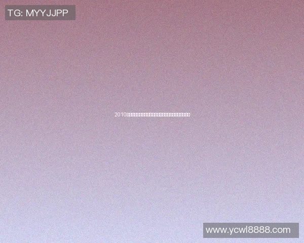 2010年申花与哄队激战回顾：一场难忘的足球盛宴与激情对决